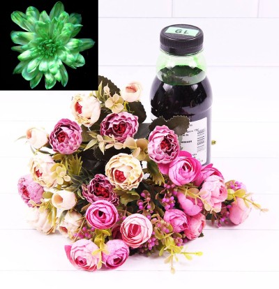 1400020 Краска для живых цветов Зелёная (№ 19) 300 мл 1/1 1400020 Краска для живых цветов Зелёная (№ 19) 300 мл 1/1