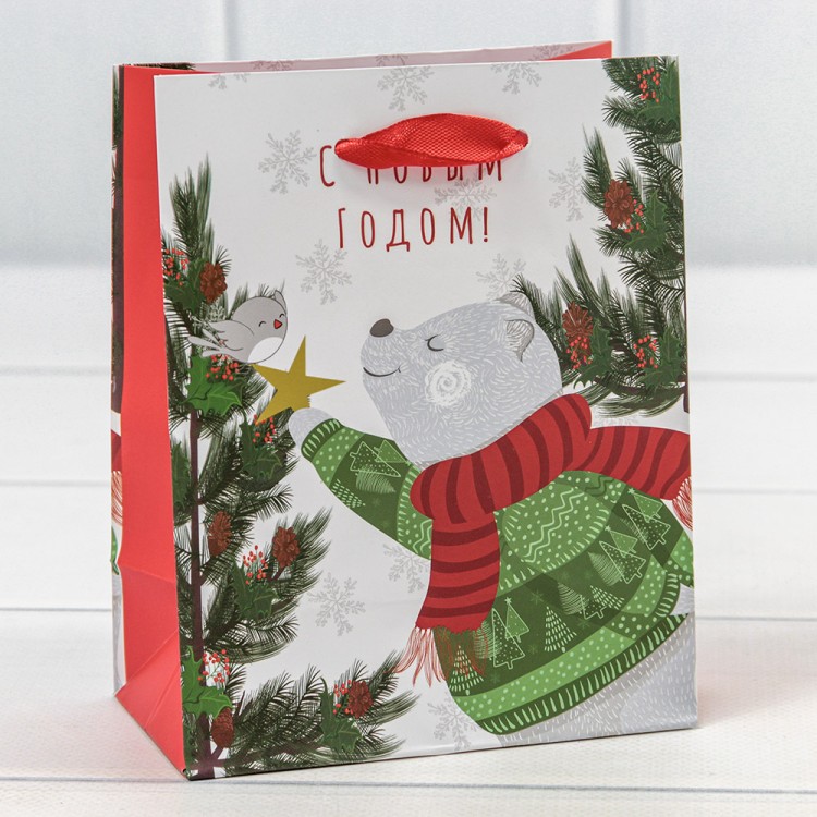 300430H	Пакет подарочный "Новый год" (микс 430) 12*15*6,7 128г 1/20 1/600									