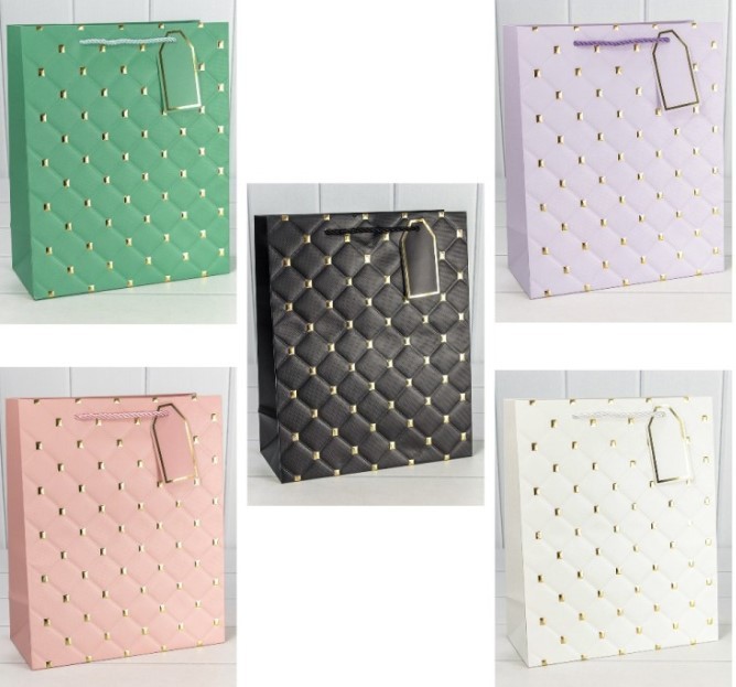 000891E Пакет подарочный с тиснением 891 (микс) 18*23*10 210г 1/20 1/360		