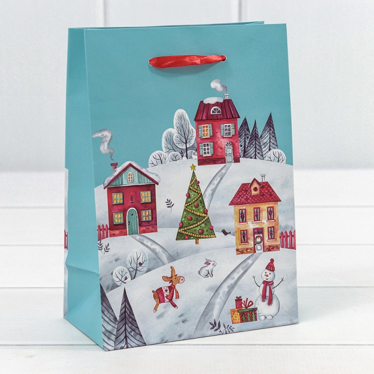 300430G	Пакет подарочный "Новый год" (микс 430) 14*20*8 128г 1/20 1/600									