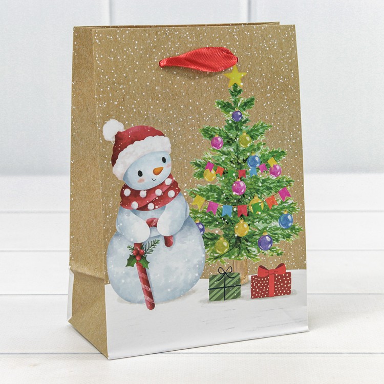 300430G	Пакет подарочный "Новый год" (микс 430) 14*20*8 128г 1/20 1/600									