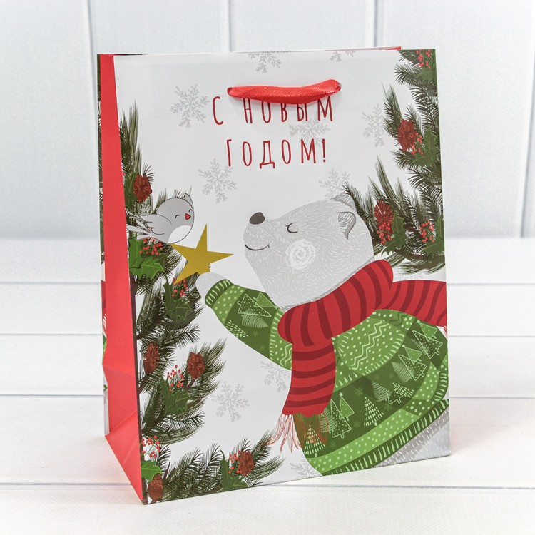 300430E	Пакет подарочный "Новый год" (микс 430) 18*23*10 128г 1/20 1/480								