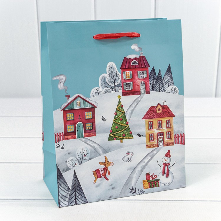 300430E	Пакет подарочный "Новый год" (микс 430) 18*23*10 128г 1/20 1/480								