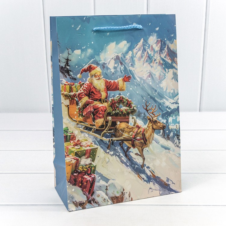 300431K	Пакет подарочный "Новый год" (микс 431) 20*30*10 128г 1/20 1/360					