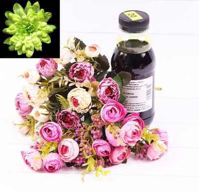 1400026 Краска для живых цветов Фисташковая 300 мл 1/1 1400026 Краска для живых цветов Фисташковая 300 мл 1/1