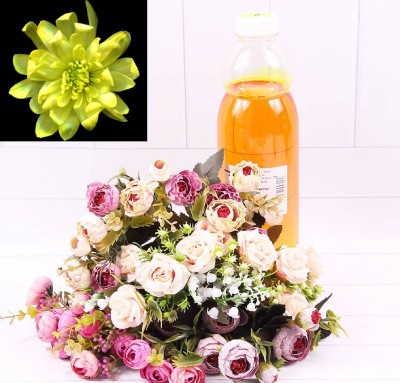 1400004 Краска для живых цветов Жёлтая (№ 2) 1 л 1/1 1400004 Краска для живых цветов Жёлтая (№ 2) 1 л 1/1