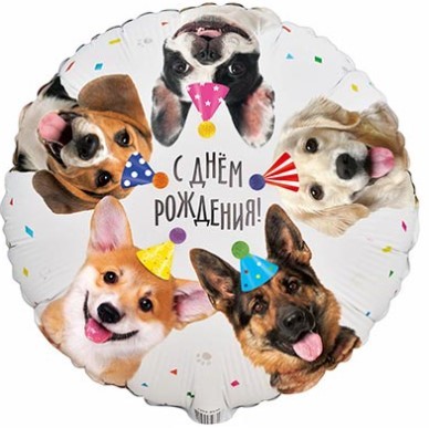 1202-4030 Шар круг 45см С ДР Собачки фотографичные 1202-4030 Шар круг 45см С ДР Собачки фотографичные