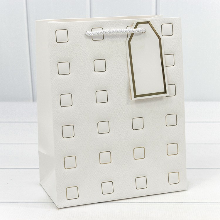 000881E Пакет подарочный с тиснением "Квадратики" (микс) 18*23*10 210г 1/20 1/360