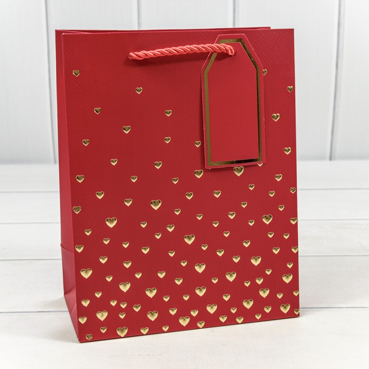 000880E Пакет подарочный с тиснением "Сердечки" (микс 1) 18*23*10 210г 1/20 1/360